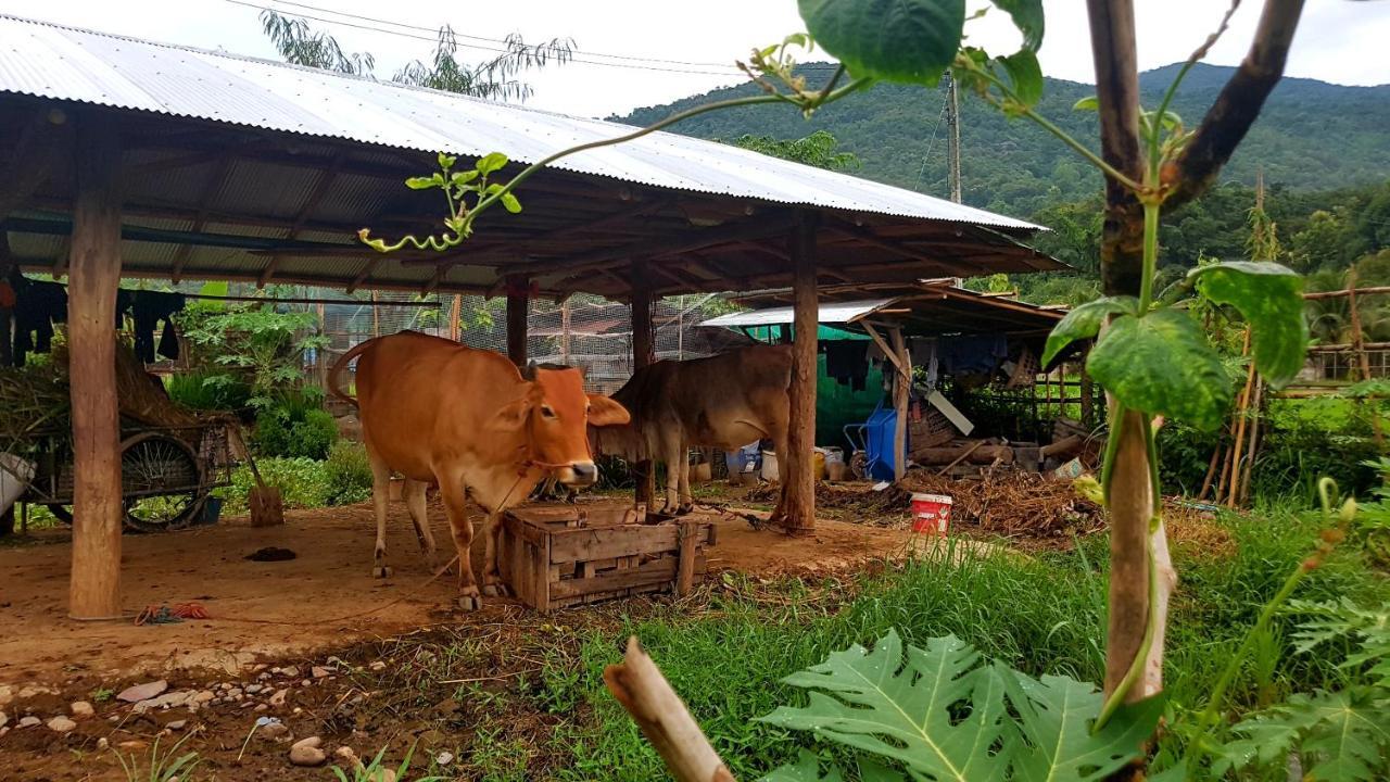 Villa ฮ้างนาตาจันทร์ Landkreis Landkreis Pua Exterior foto
